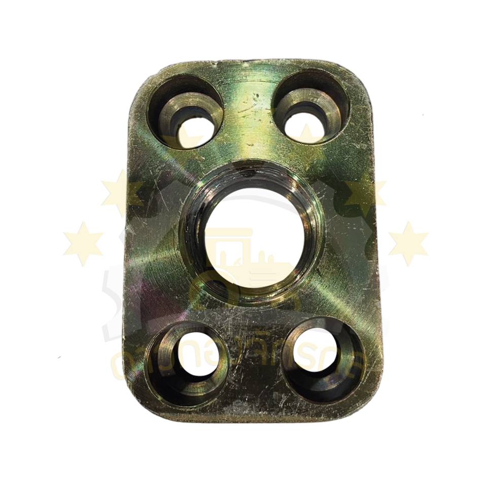 Flange + O-Ring